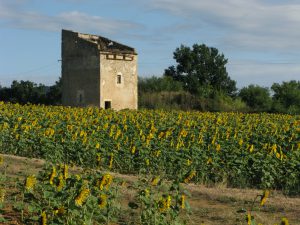 Pigeonnier Cordes